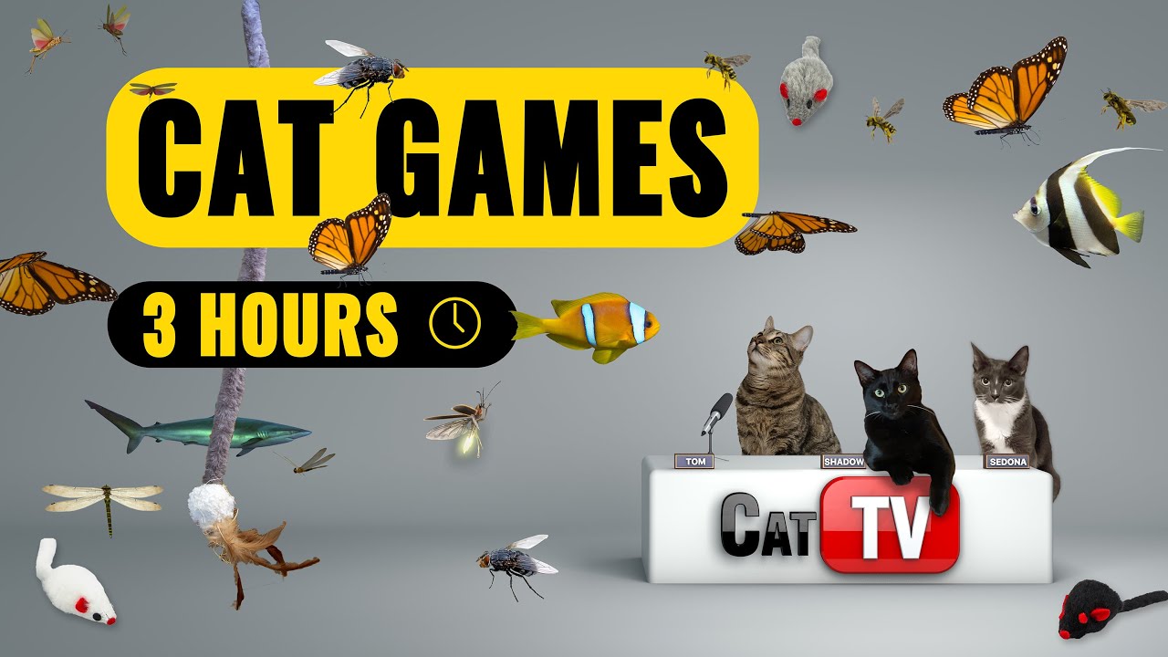 CAT TV | Cat Games 4K | Bugs, Cat Toys and Fish