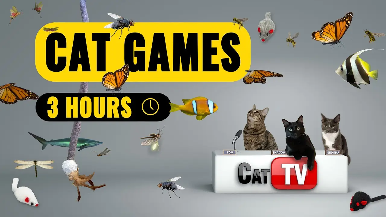 Cat Games | The First Amazingly Original Ultimate Cat TV Compilation