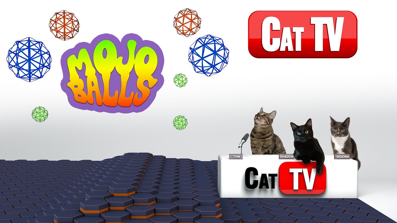 CAT TV | Cat Games | Mojo Balls Psychedelic Edition | Videos For Cats | Cat Calming Music