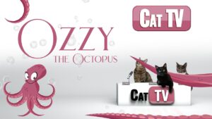 Cat TV Games Ozzy