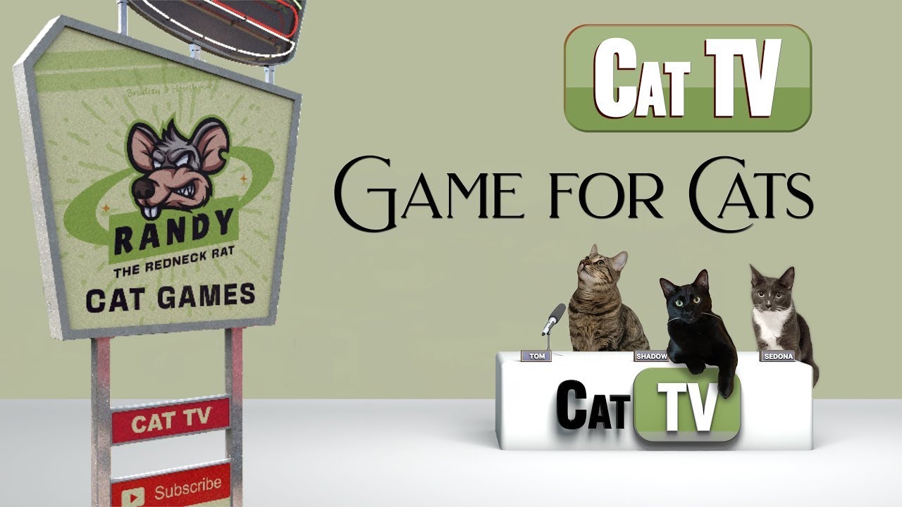 CAT TV | CAT Games | Randy the Redneck Rat | Realistic Rat Game for Cats | 3D Animation