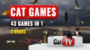 Cat TV Games Compilation