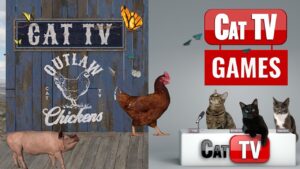 Cat TV Games Outlaw Chickens