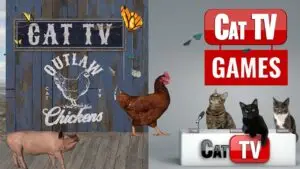 Cat TV Games Outlaw Chickens