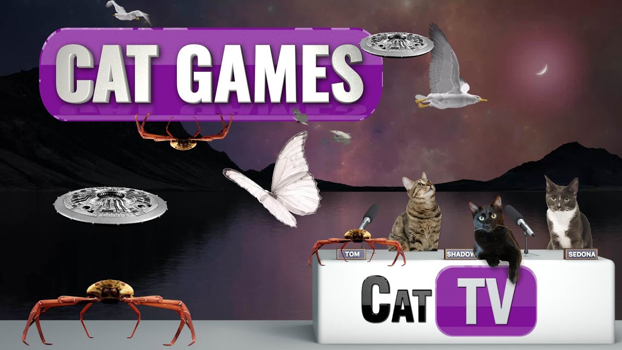 CAT TV | Cat Games 4K | Compilation | Videos For Cats | 😼