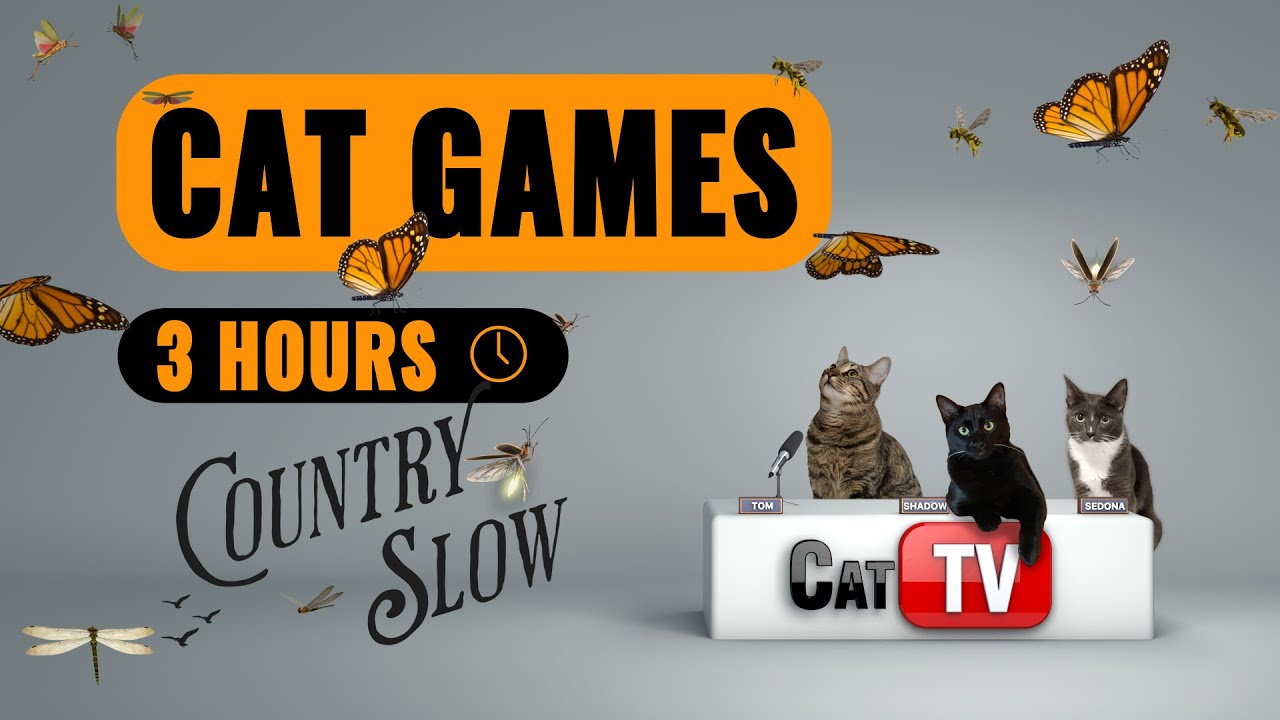Cat TV Games Country SLow