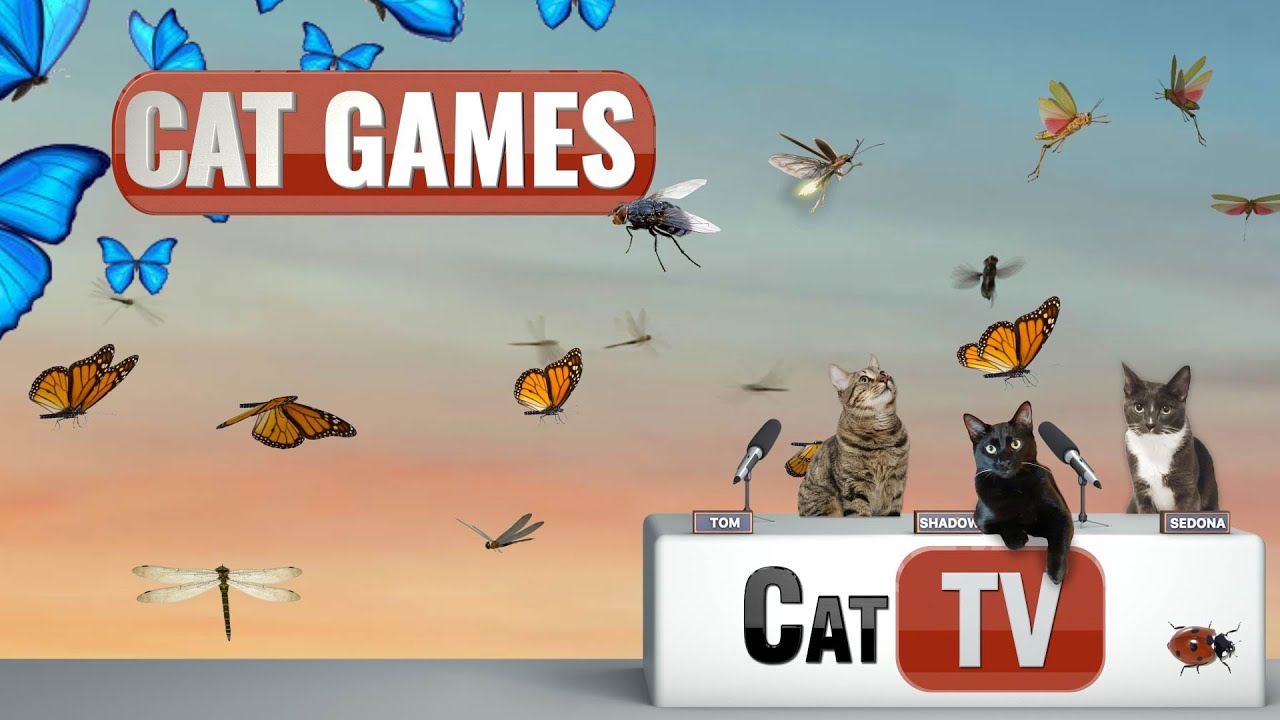 CAT TV | Butterflies & Bugs | Cat Games 4K | Videos For Cats | 🦋