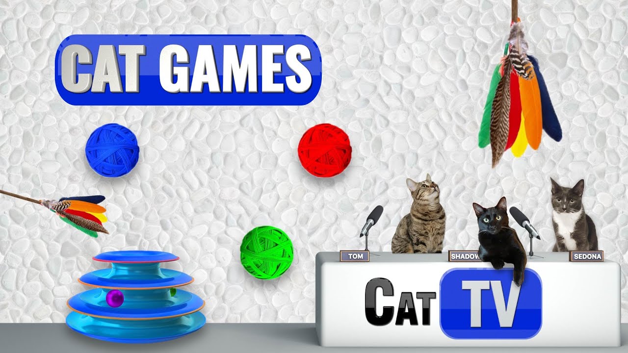 CAT TV | Cat Toys & Mouse | Cat Games 4K | Videos For Cats | 😼