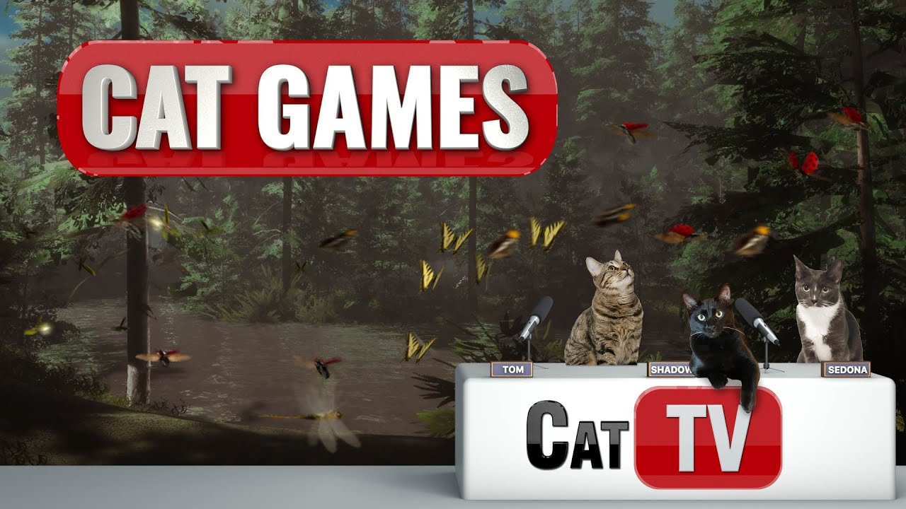 CAT Games TV | Mountain Escape | Cat TV | Videos For Cats | ⛰️