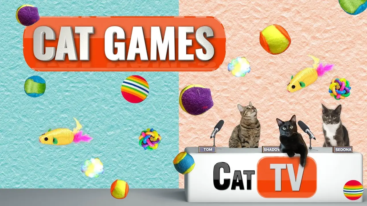 Cat Games TV | Cat Toys & Mouse #2 | Videos For Cats To Watch | 😼