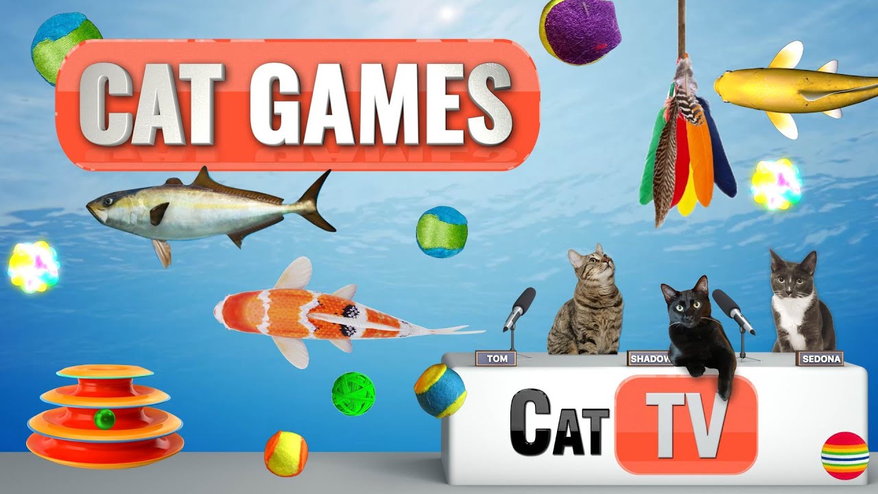 Cat TV Games for Stress Relief: Purr-fectly Relaxing Entertainment