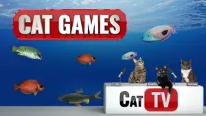 Cat Games TV
