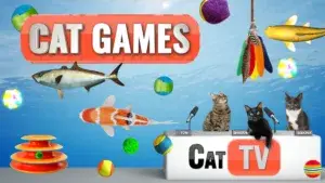 cat-tv-games