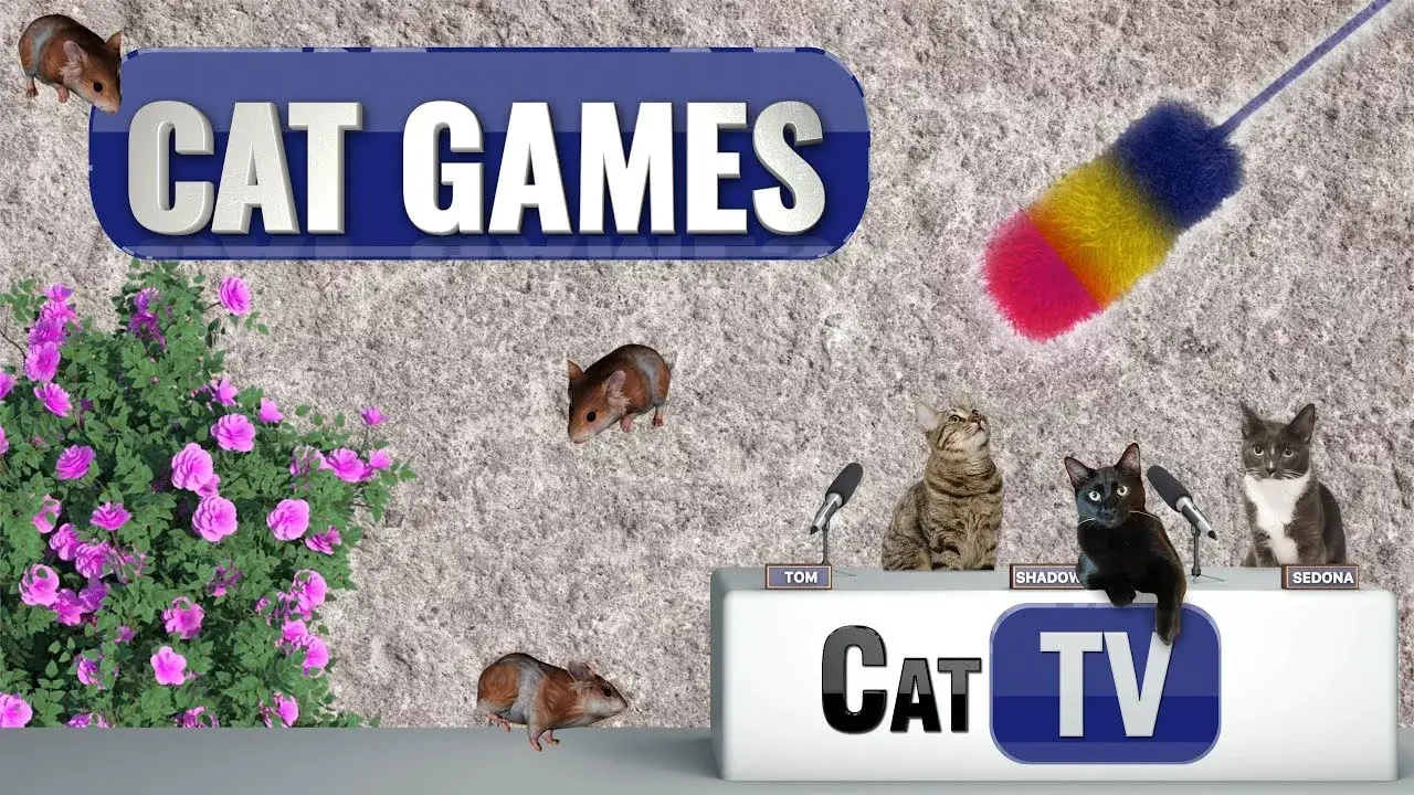 CAT TV Games | Cat Toys & Guinea Pigs | Videos For Cats to watch | 🐹