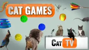 Cat Games TV