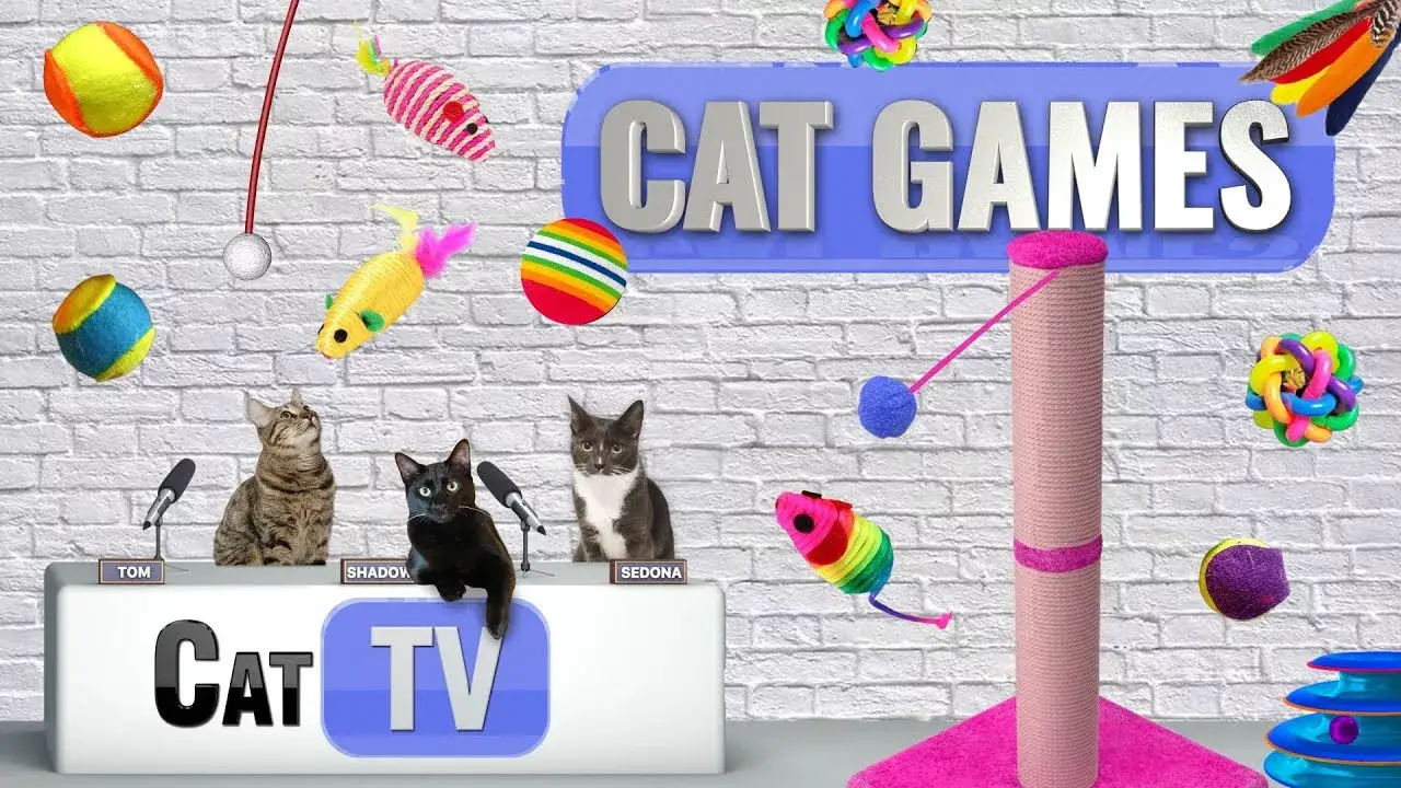 CAT Games TV | Ultimate Cat Toy Compilation | Videos For Cats to Watch | 🐈