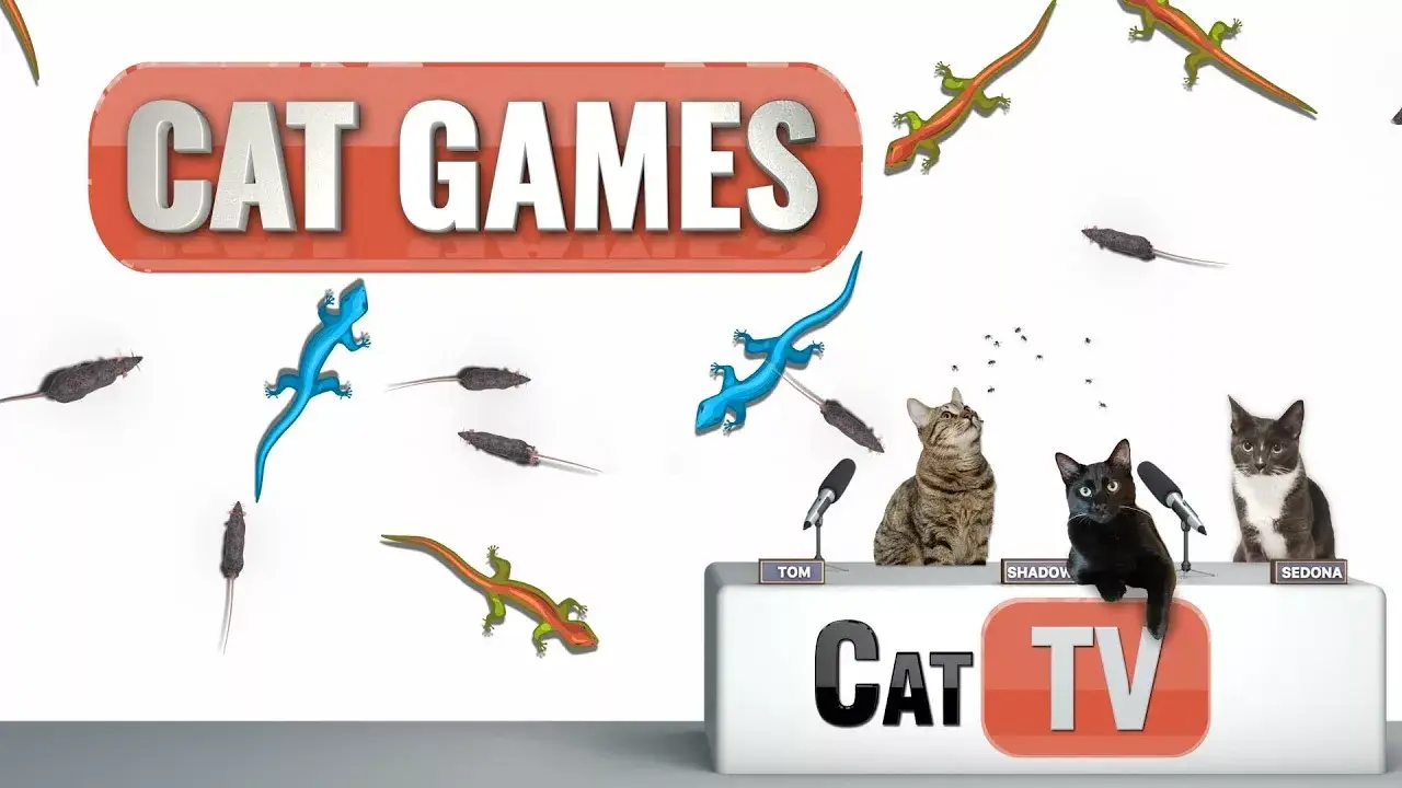 CAT Games TV | Larry the Lizard and Randy the Redneck Rat Compilation Mash Up | Videos For Cats | 🦎🐀