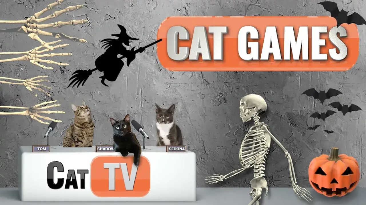 CAT TV | Spooky Halloween Compilation for Cats Vol 2 | 4K Videos For Cats | Cat Games 🎃🕷️🦇