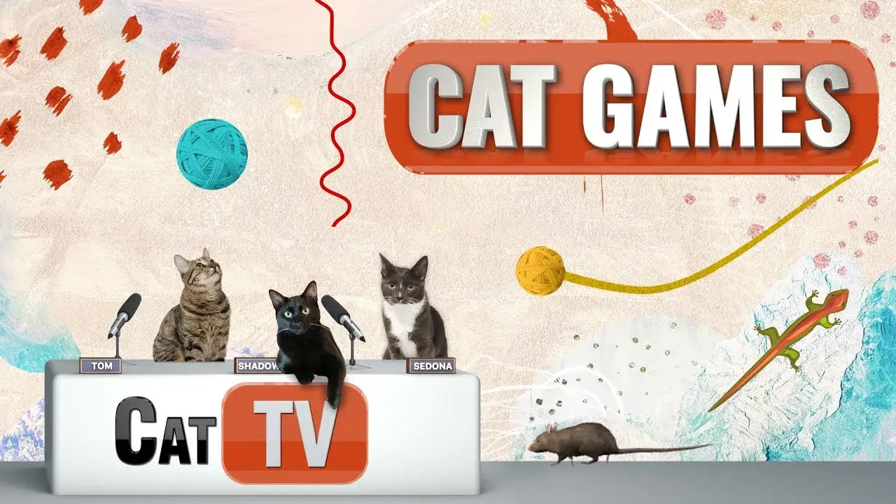 Cat Games | Ultimate Cat TV Compilation Vol 7 | 1 HOUR 🐱📺😼 🧵 🦗 🐁🦎⚽