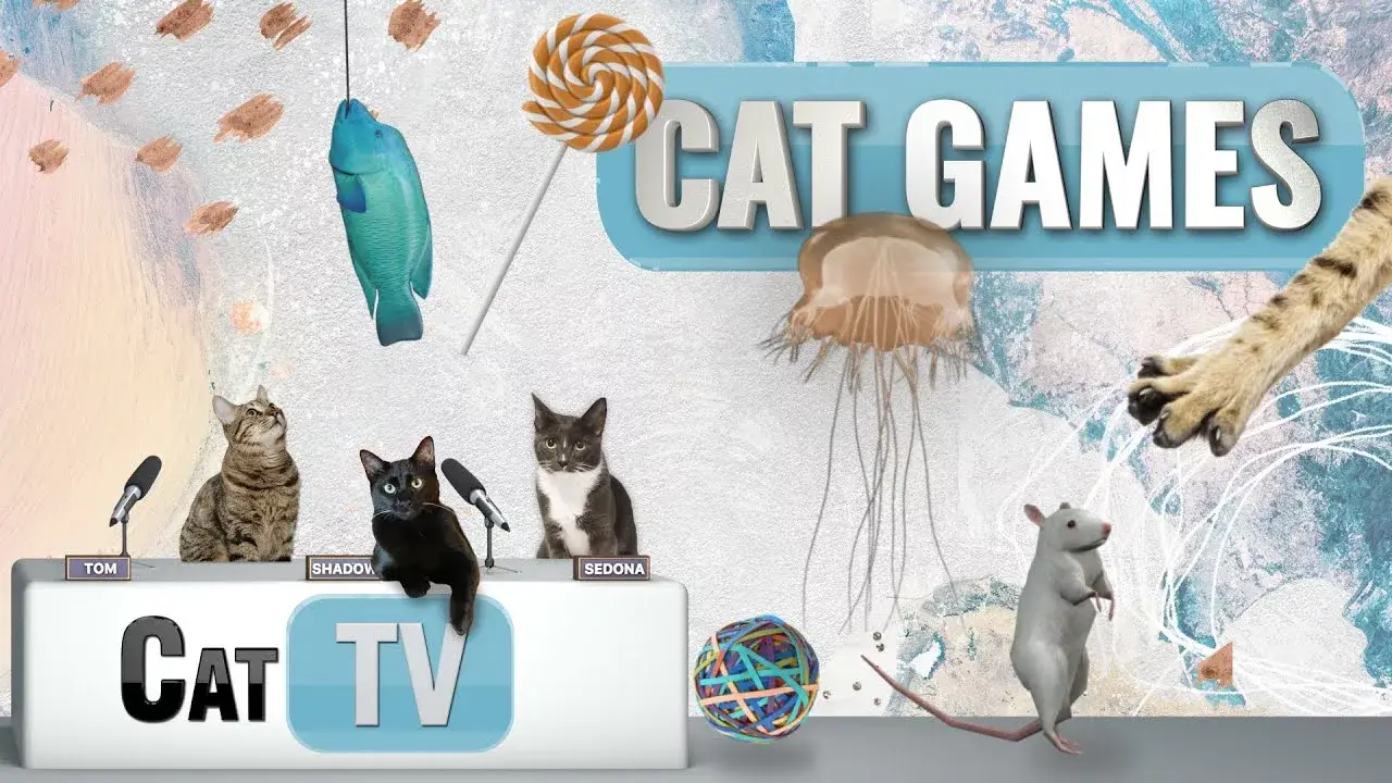 Cat Games | Ultimate Cat TV Compilation Vol 6 | 1 HOUR 🐱📺🐶🍭🧀🐔🐟🌊🐭🌱