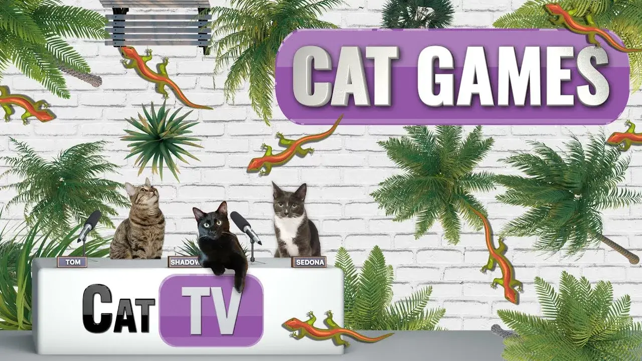CAT TV | Larry the Lizard | A Playful Adventure Across Diverse Lands | Videos For Cats to Watch | 😼