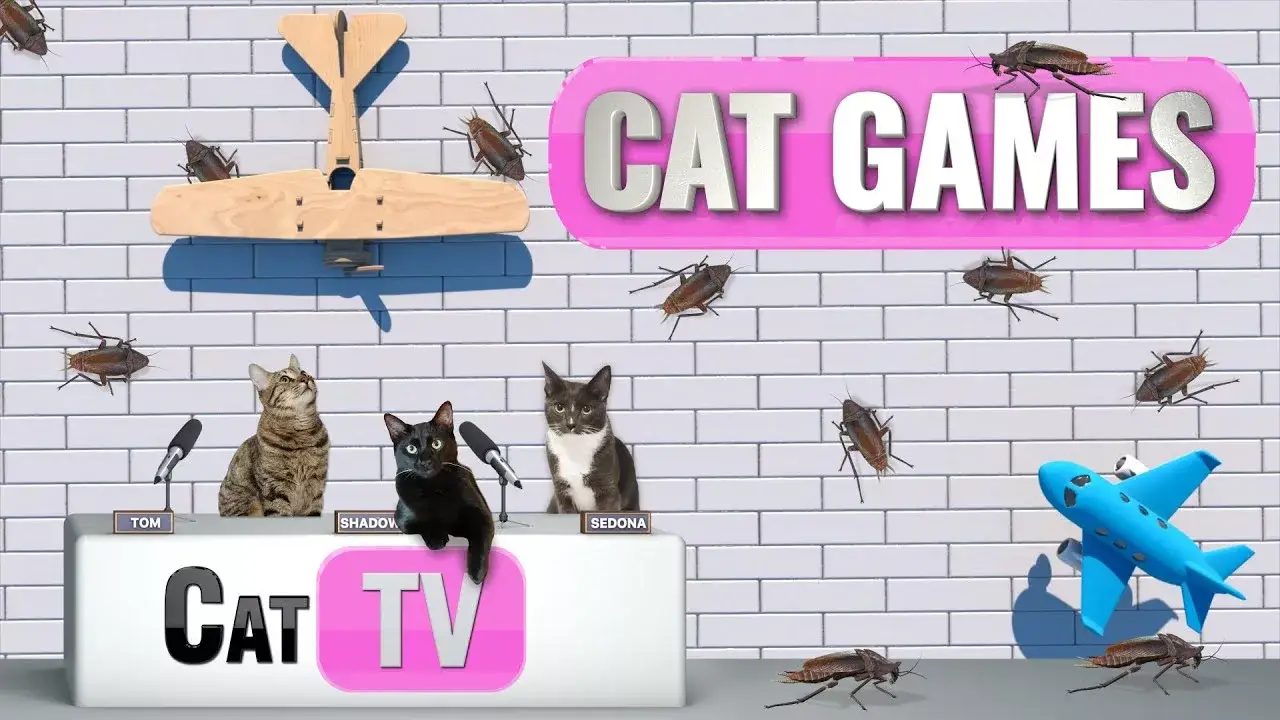 CAT TV | Cockroaches vs. Cats: The Ultimate Showdown 🐾 | 4K Bug Videos For Cats to Watch | Cat Games