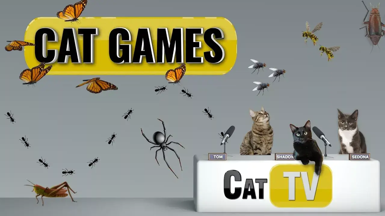 Cat Games | Ultimate Cat TV Bugs and Butterflies Compilation Vol 2 | Videos for Cats to Watch🐱