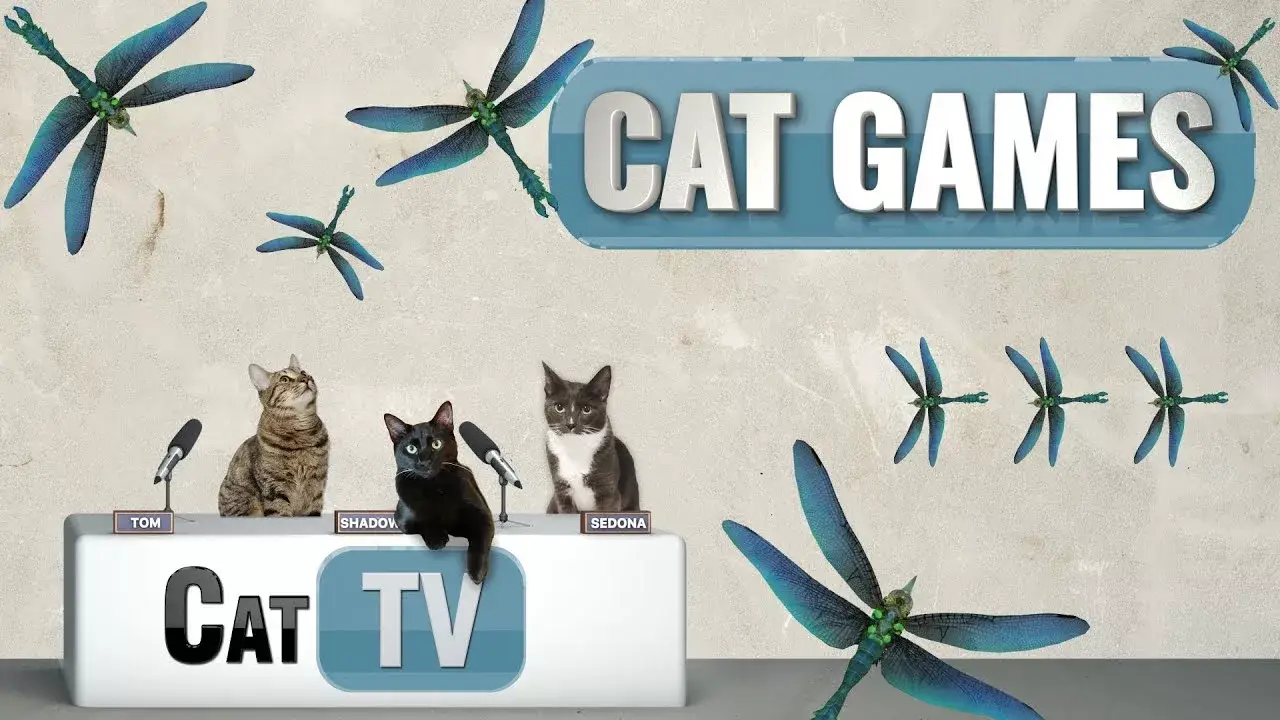 CAT Games TV | Dragonflies in Paradise | Cat Games 4K | Videos For Cats to Watch | 😼