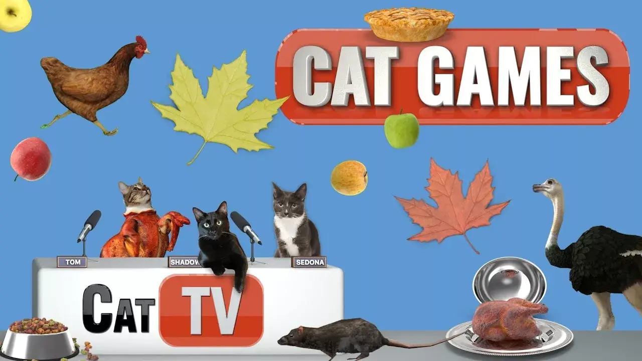 Cat Games | Autumn Kitty Extravaganza: Dancing Turkeys, Popping Pies, & Ostrich Surprises 🦃 | Cat TV