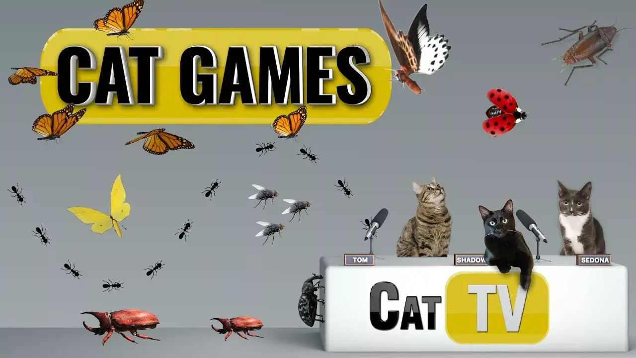CAT Games | Ultimate Cat TV Bugs and Butterflies Compilation Vol 4 🪲 🐞🦋🦗🐜 | Videos For Cats to Watch