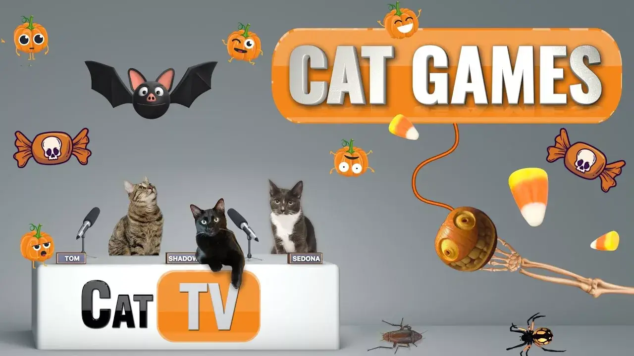 CAT Games TV | 🎃 Purr-fectly Spooky Fun for Cats & Cat Lovers! | Videos For Cats to Watch | 😼👻