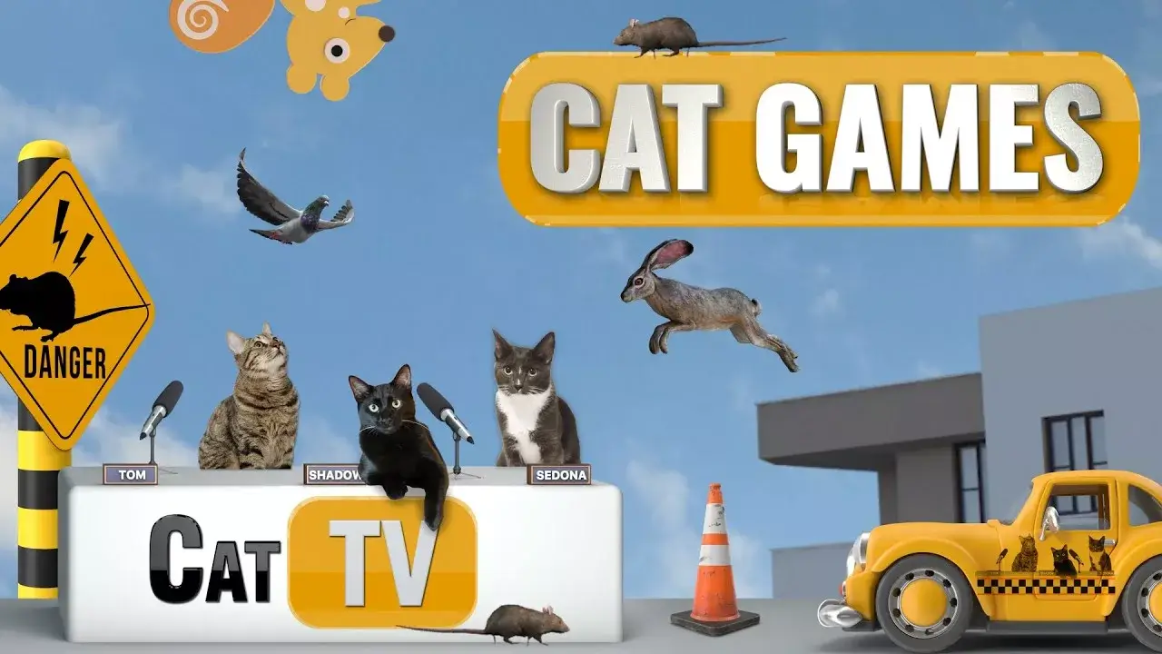 CAT Games | Cat City Adventures – A Feline Fantasy World! 😺🌃 | Cat TV Compilation
