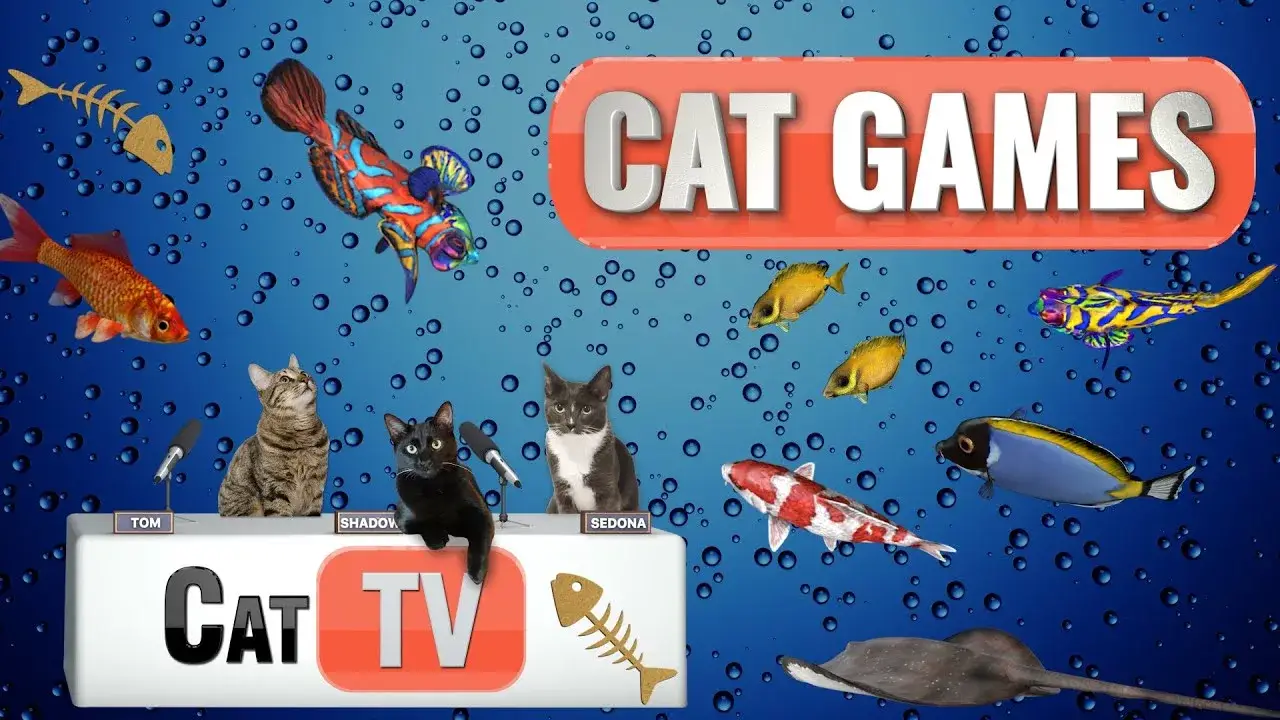 CAT Games | Fish and Bubbles Extravaganza! 🐟💦 | Cat TV Compilation Video For Cats to Watch 😼