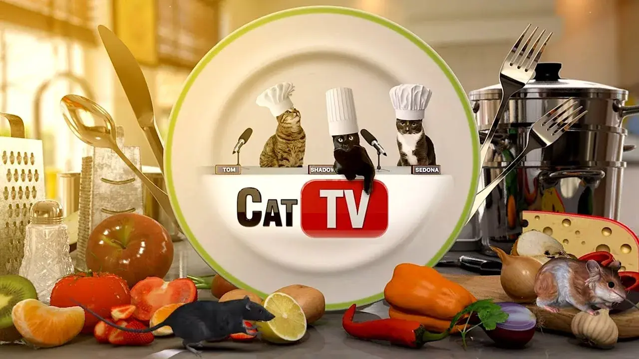 CAT Games | Catatouille- Ultimate Cat TV Compilation: Rats, Food Fights & Kitchen Chaos! 🐁🍔🌮🥗🍕