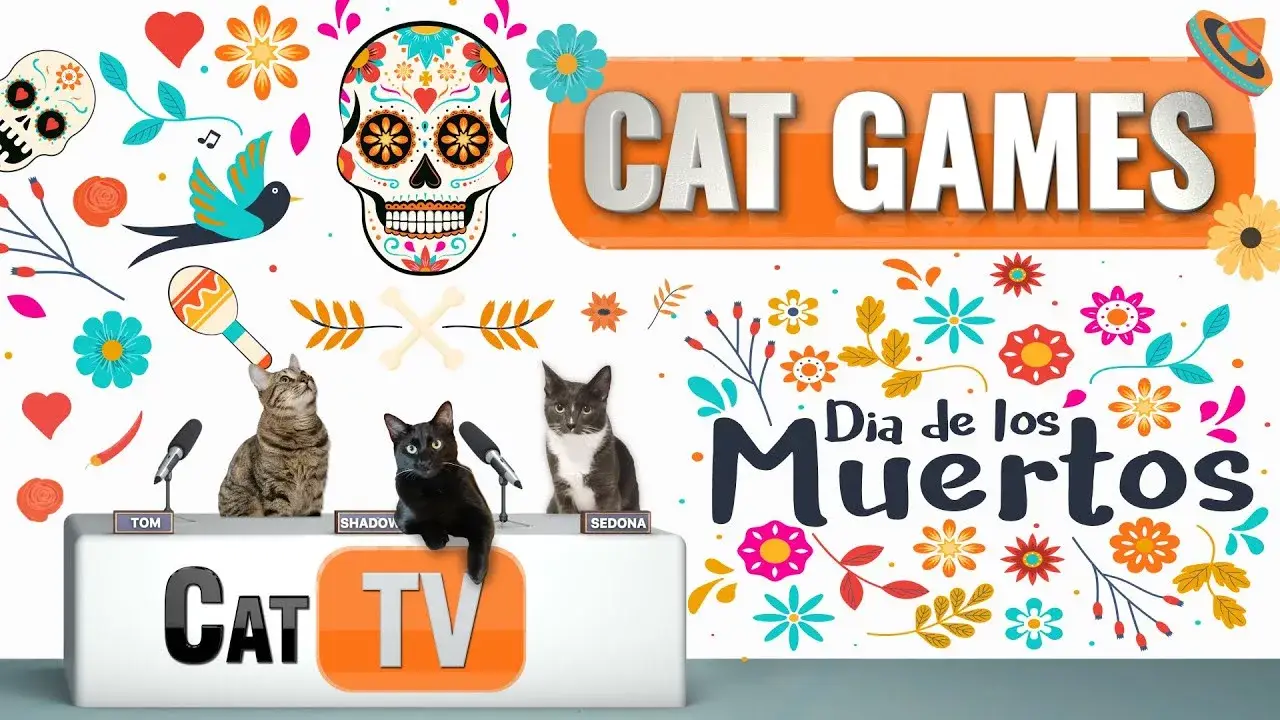 CAT Games | Dia de los Muertos | Day of the Dead | 4K Videos For Cats to Watch | 😼