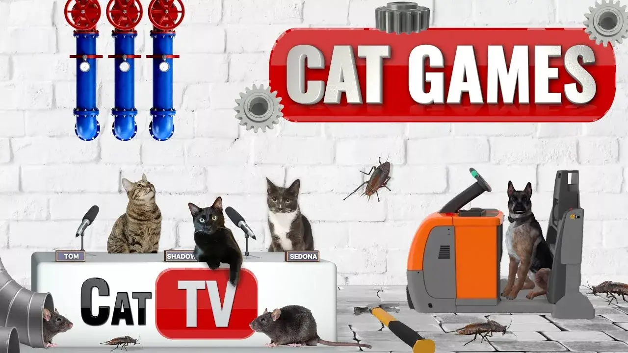 CAT Games TV | 📺🐾 Exploring the Industrial World | Videos For Cats to Watch | 😼