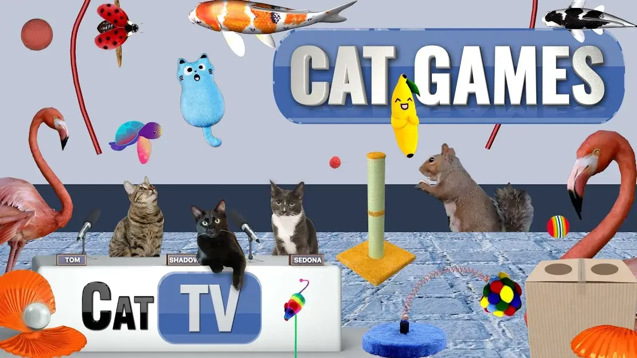Cat Games | Ultimate Cat TV Compilation Vol 8 | 1 HOUR 🐱📺🦩🐁🦎⚽🐟🐦🐢