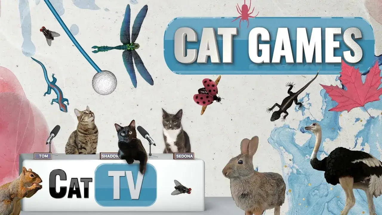Cat Games | Ultimate Cat TV Compilation Vol 9 | 1 HOUR 🐱📺🐁🦎⚽🐟🐦🍎🐞