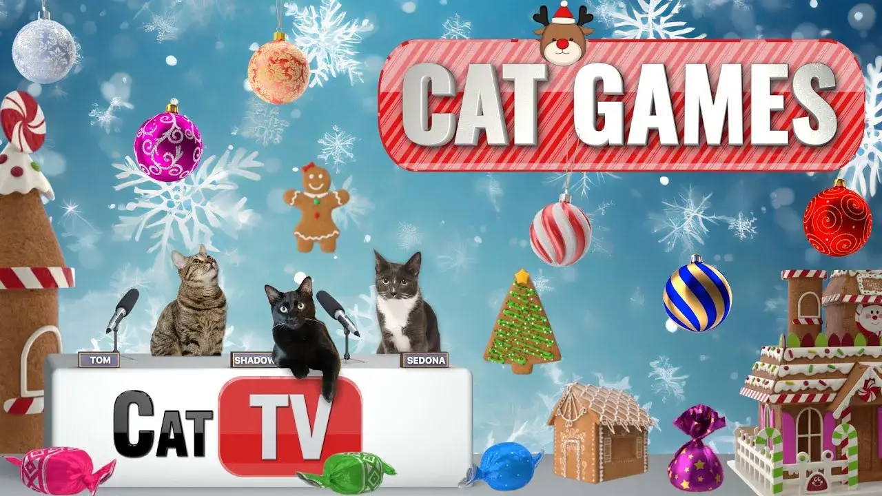 CAT Games | Whisker Wonderland: A Magical Christmas Adventure for Cats! 🎄🐾 | 4K Video For Cats 😼