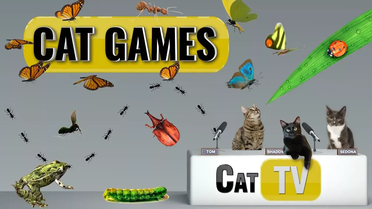 CAT Games | Ultimate Cat TV Bugs and Butterflies Compilation Vol 5 🪲 🐞🦋🦗🐜 | Videos For Cats to Watch