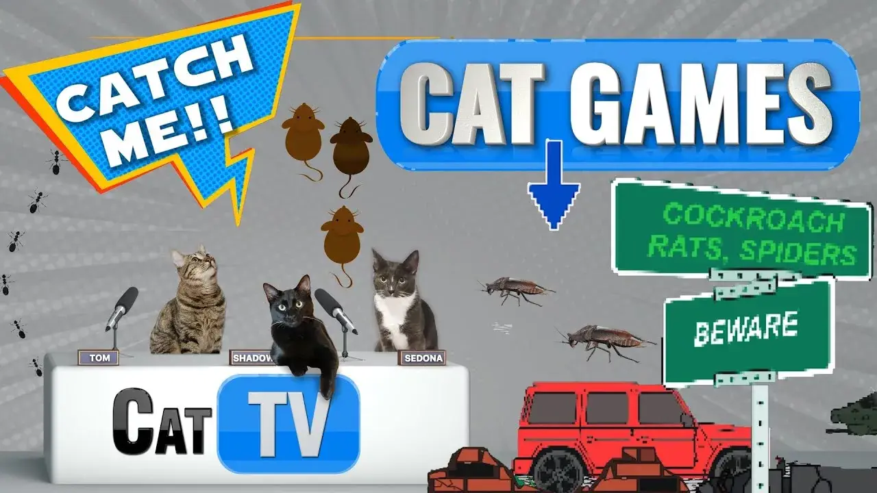 CAT Games | Catch the Critter: Mice and Bugs Digital Race! 🐱🕷️🏁 | Videos For Cats | Dog TV 🎮🐭🕷️🐀🕹️