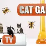 CAT Games | 🐝 Meet Honey the Bee! 🌼 Cat TV Adventure with Buzzing Fun and Scenic Backgrounds 📺