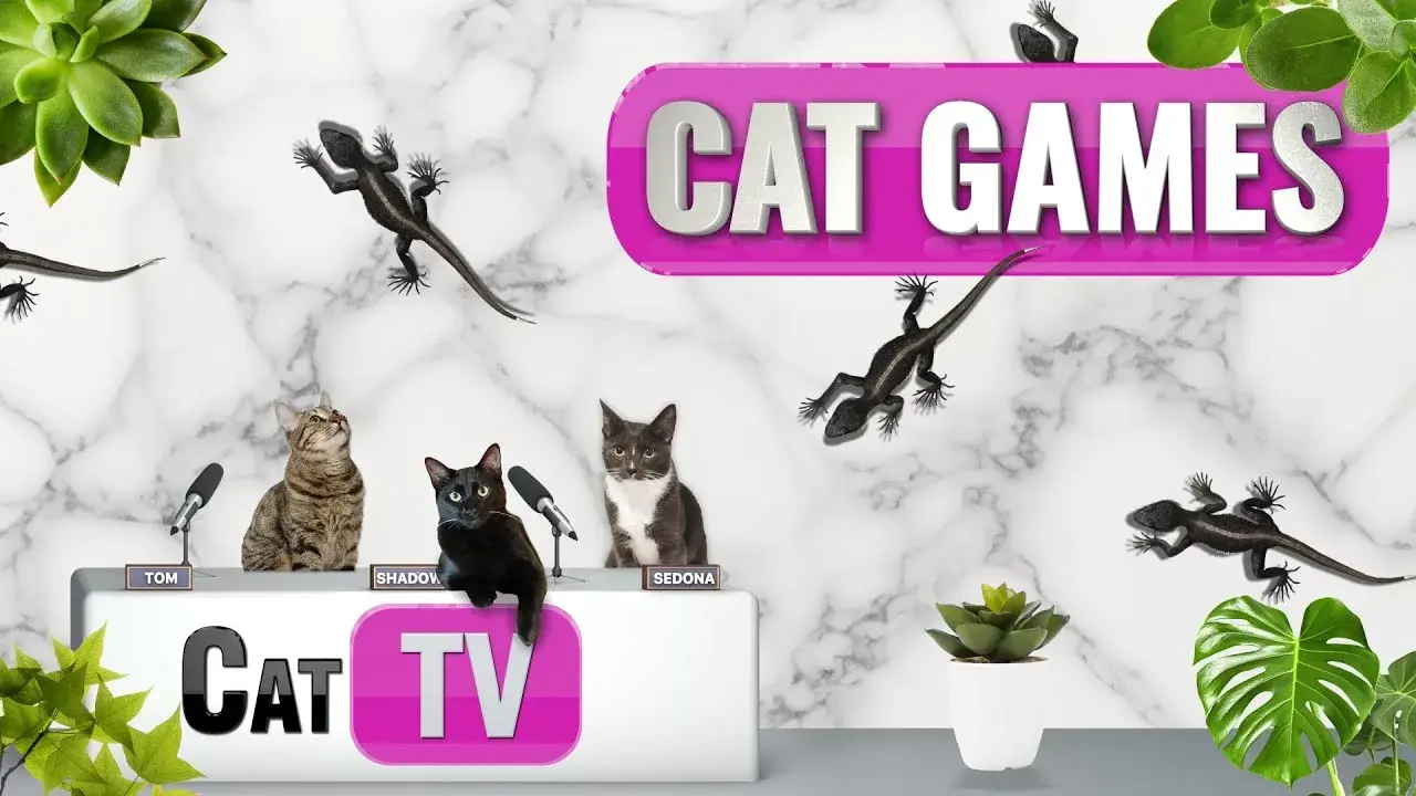 CAT Games | Uncle Leonard the Lizard in Palm Springs 🦎 | Cat TV | Lizard Videos For Cats to Watch 😼