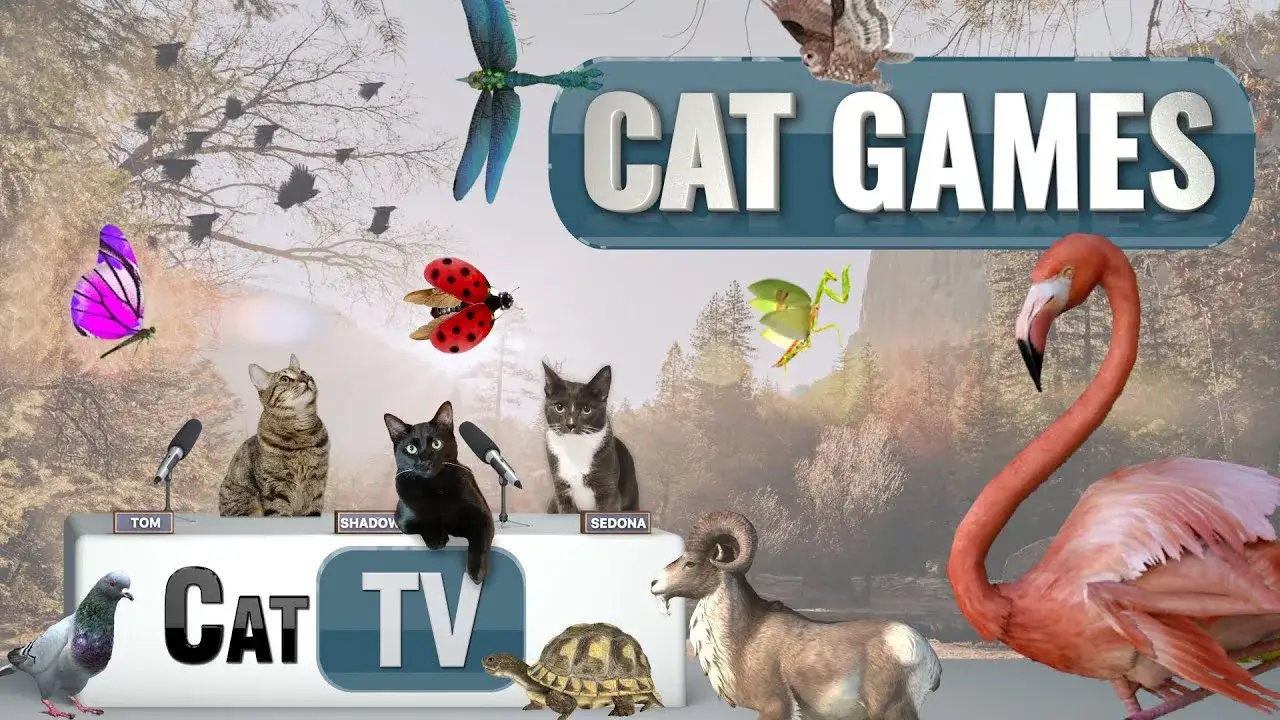 CAT TV | Enchanting 3D Wildlife Symphony: Relaxing Nature Scenes with Animals and Bugs Galore 🦋🦉🦌