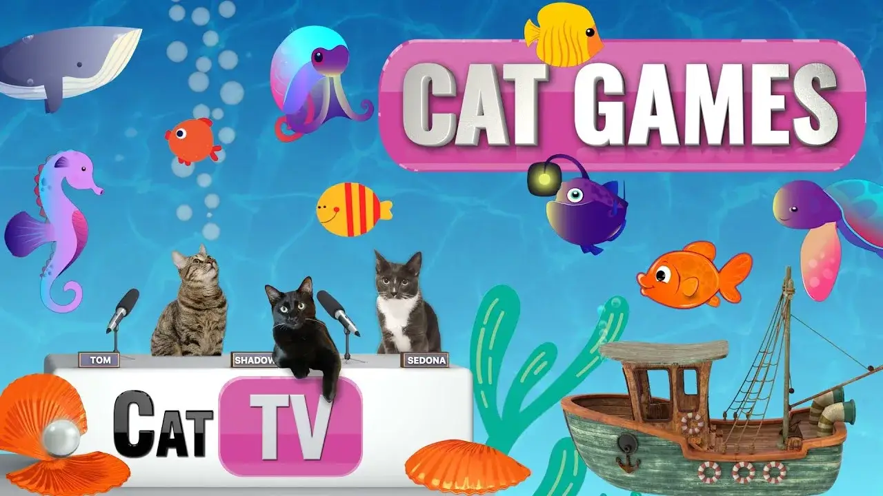 CAT Games | Fish and Bubbles Extravaganza Vol 2! 🐟💦 | Cat TV Compilation Video For Cats to Watch 😼