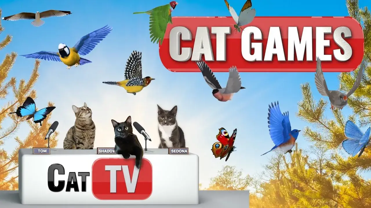 Cat TV | 3D Birds and Butterflies in Serene Nature Scenes 🌿🦋 | Calming Sounds and Music for Cats