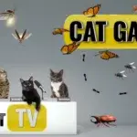 CAT Games | Ultimate Cat TV Bugs and Butterflies Compilation Vol 7 🐝🐞🦋🦗🐜 | Videos For Cats to Watch