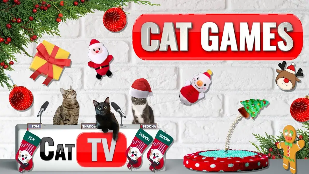 CAT Games | Meowy Christmas Dreams: A Whisker Wonderland Spectacle 🎁🎅🎄 | Videos For Cats to Watch 😼