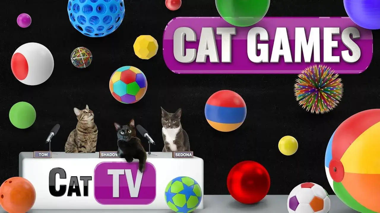 CAT Games | Ultimate Ball Bonanza: 70+ Balls with Fun Sound Effects! ⚽🏀⚾🎾 | Dog TV