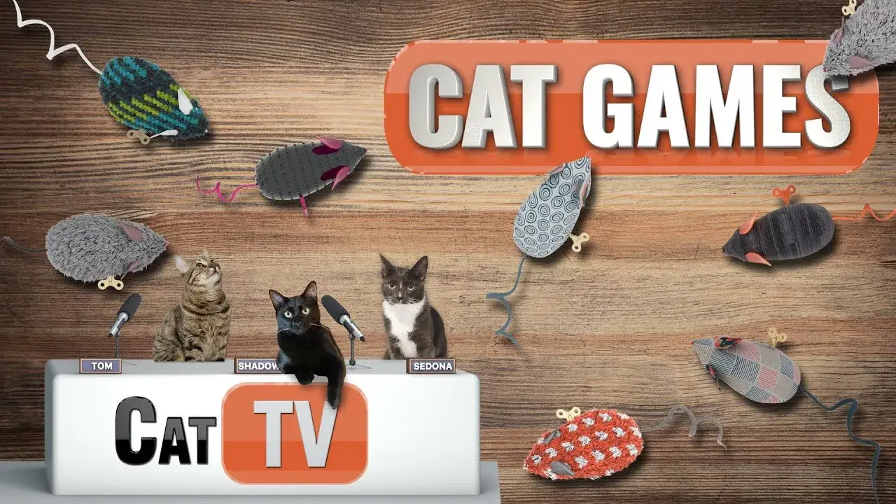 CAT Games | Cat Toy Mouse – Tail Spin Tales | Cat Games 4K | Videos For Cats to Watch | 🐭